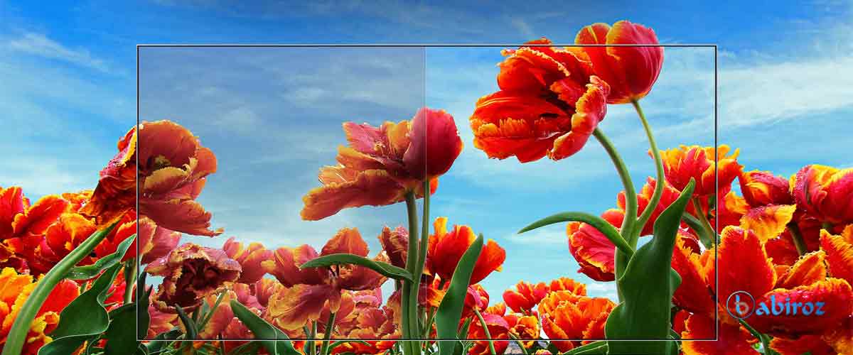 پشتیبانی تلویزیون 6370 الجی از فناوری Dynamic Color Enhancer